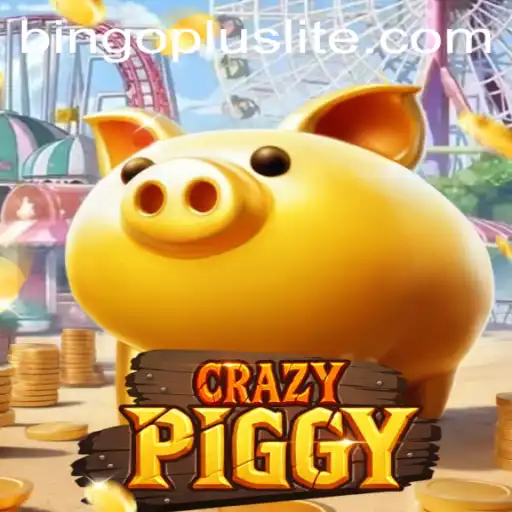 Exploring CrazyPiggy and Bingo Plus
